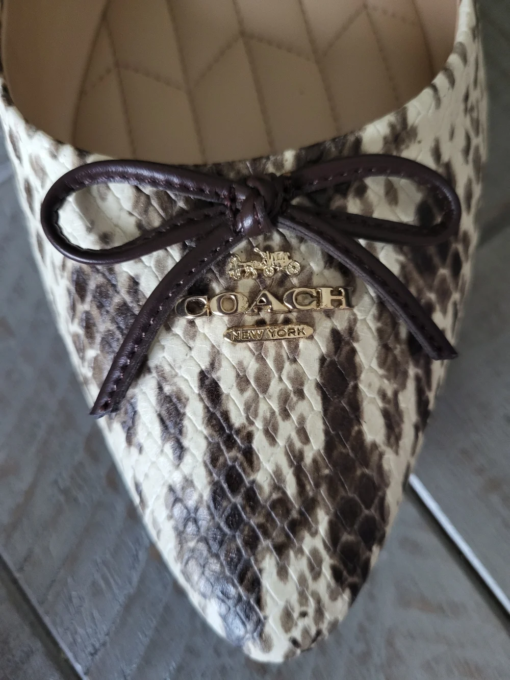 Coach Snake-Print Pointed Ballet Flats in Cream and Black - Picture 2 of 7